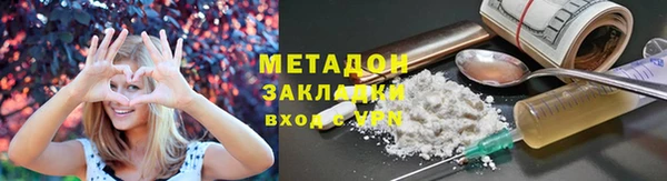 прущие грибы Богданович