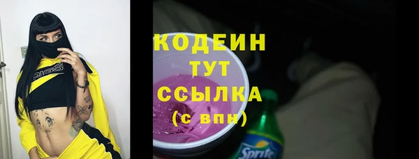 прущие грибы Богданович