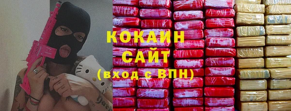 mix Богородицк