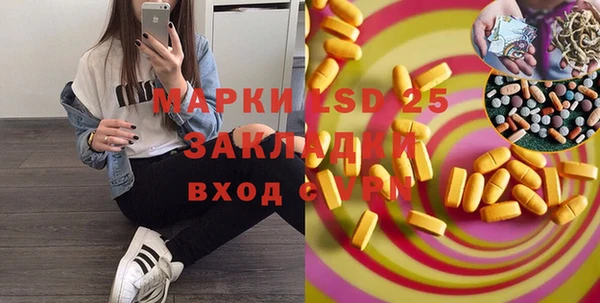 прущие грибы Богданович