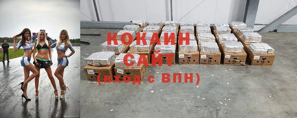 прущие грибы Богданович
