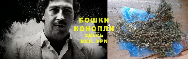 кокаин колумбия Белокуриха